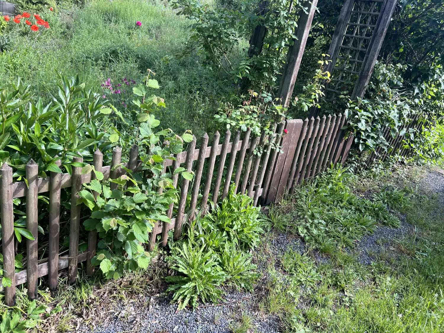 Gartenarbeit von Forst-Garten-Landschaftspflege Christoph Göckritz