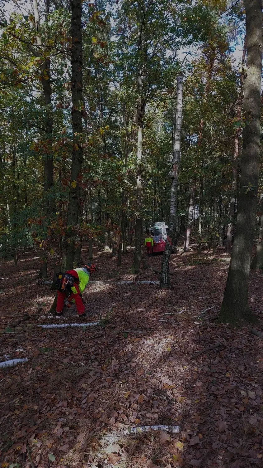 Gartenarbeit von Forst-Garten-Landschaftspflege Christoph Göckritz