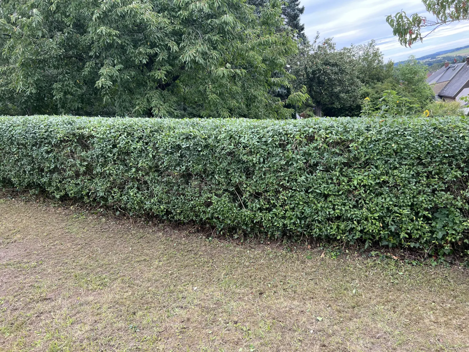 Gartenarbeit von Forst-Garten-Landschaftspflege Christoph Göckritz