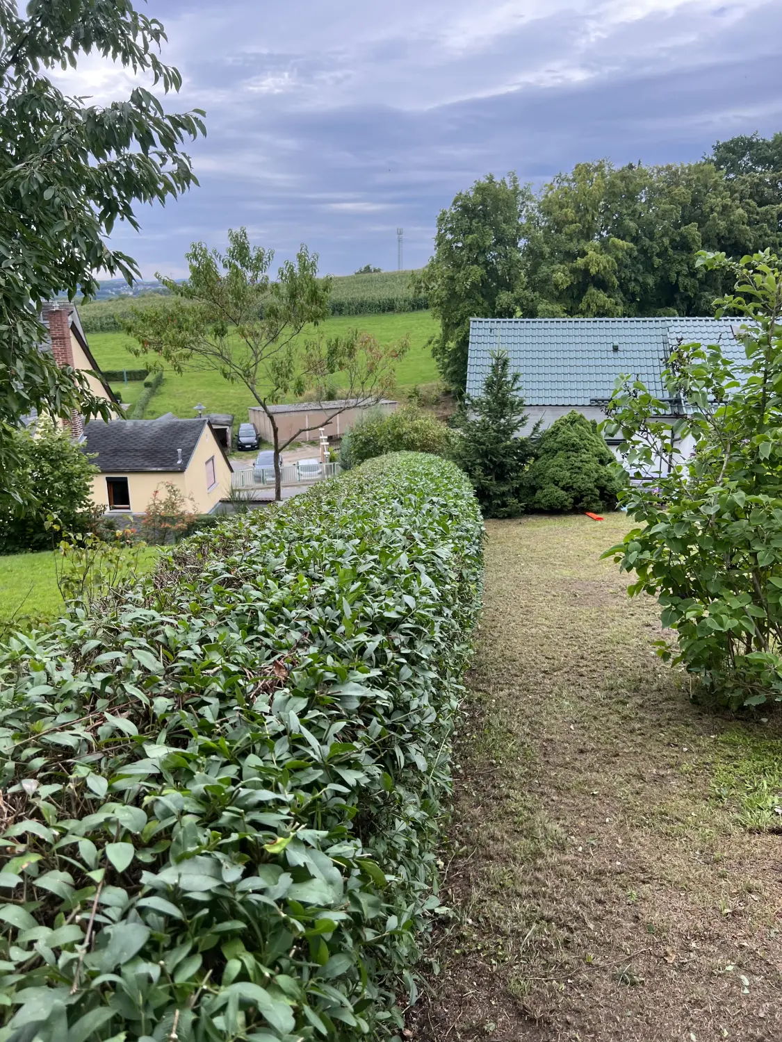 Gartenarbeit von Forst-Garten-Landschaftspflege Christoph Göckritz